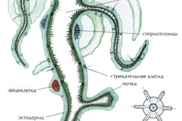 Кракен это современный даркнет